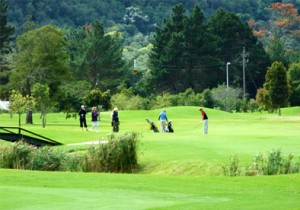 Plettenberg Bay Country Club