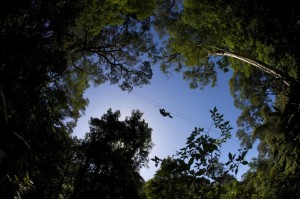 Tsitsikamma Canopy Tours