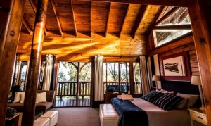 luxury room ceiling view